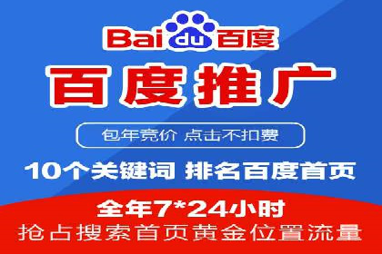 行业领先SEM托管代运营案例